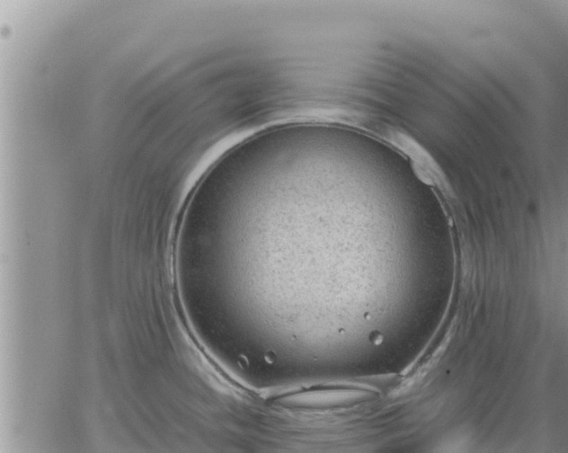 X0000064751436200602171721