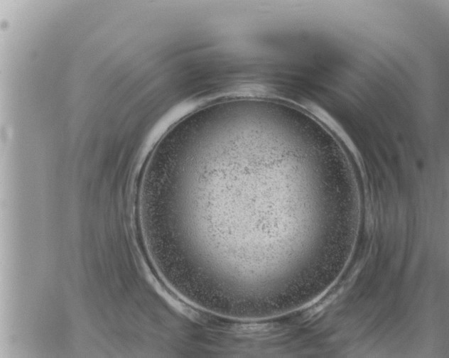 X0000064751437200602171721