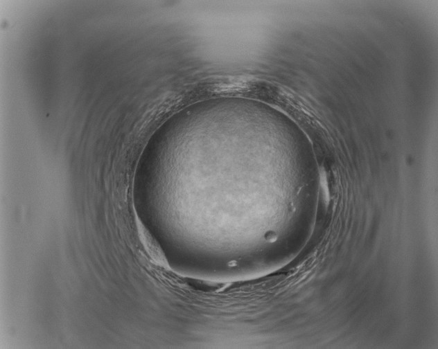 X0000064751441200602171721