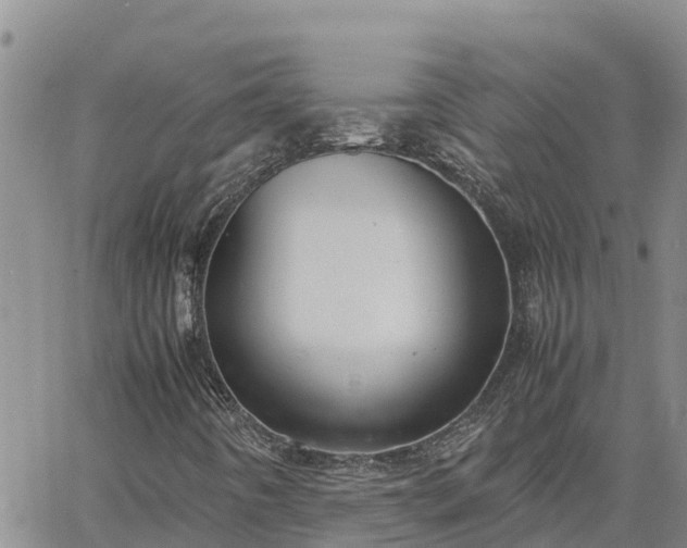 X0000064751442200602171721