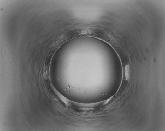 X0000064751443200602171721