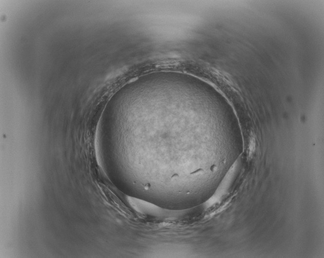 X0000064751445200602171721