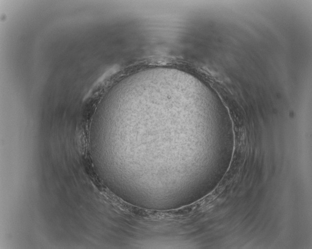 X0000064751446200602171721