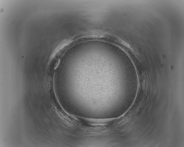 X0000064751448200602171721