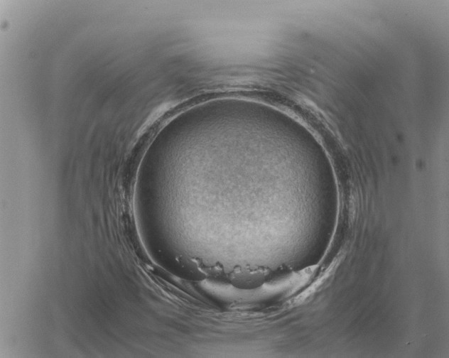 X0000064751449200602171721