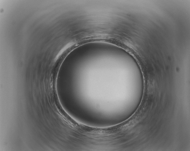 X0000064751450200602171721