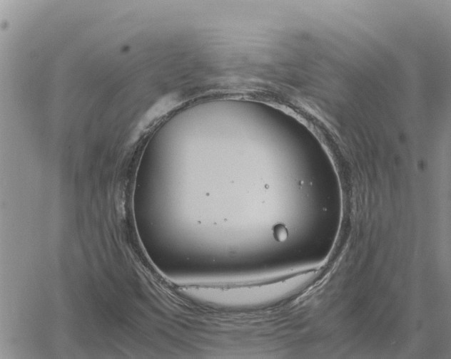 X0000064751451200602171721