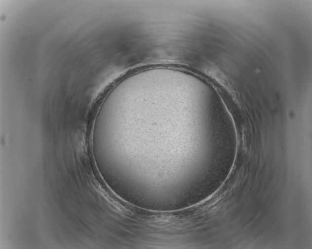 X0000064751452200602171721