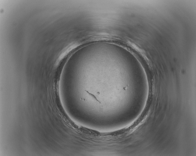 X0000064751453200602171720