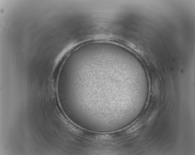 X0000064751454200602171720