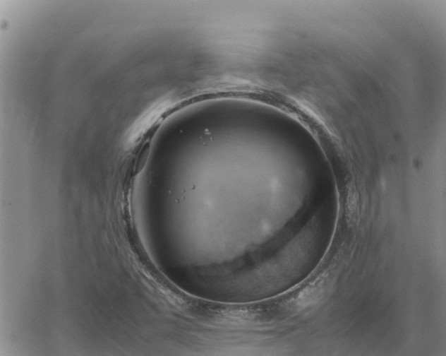 X0000064751455200602171720