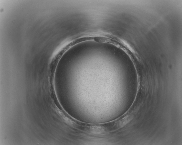 X0000064751456200602171720