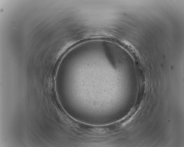 X0000064751457200602171720