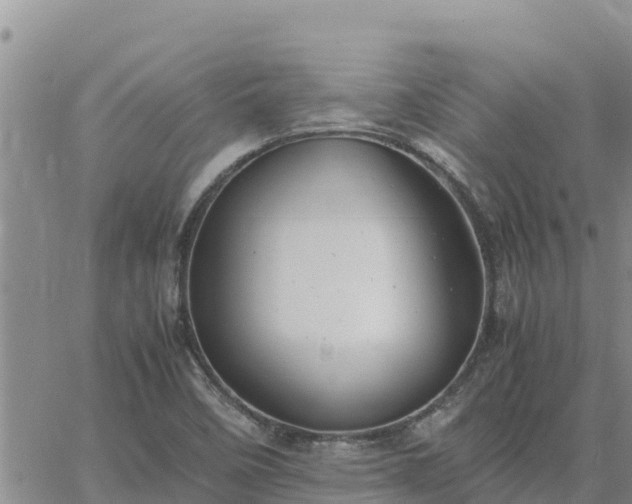 X0000064751458200602171720