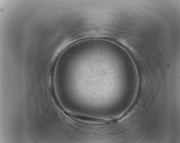 X0000064751459200602171720