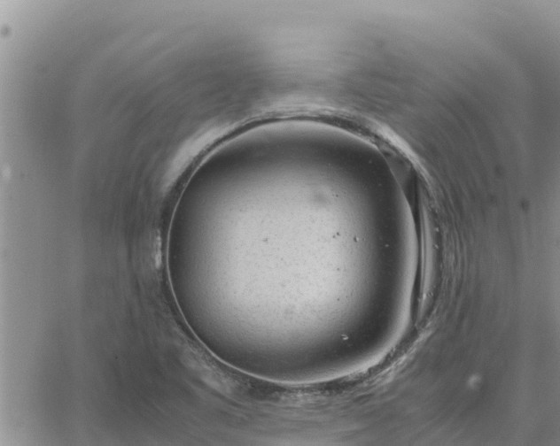 X0000064751461200602171720