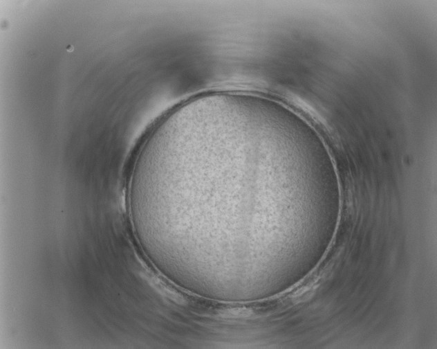 X0000064751462200602171720