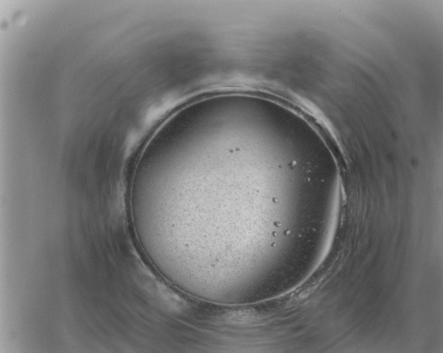 X0000064751464200602171720