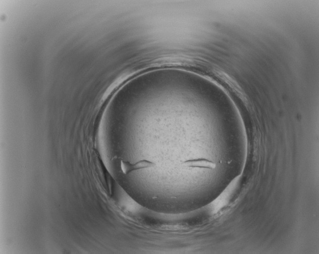 X0000064751465200602171720