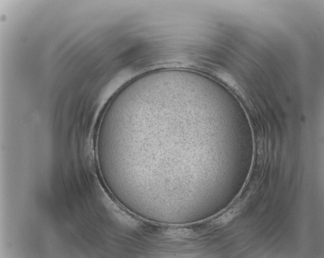 X0000064751466200602171720