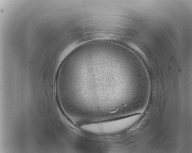 X0000064751467200602171720