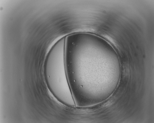 X0000064751468200602171720