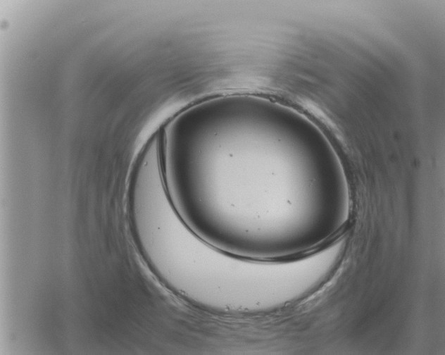 X0000064751469200602171720