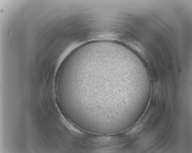 X0000064751470200602171720