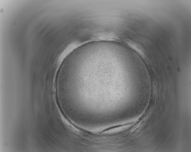 X0000064751471200602171720