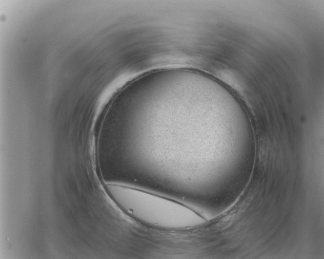 X0000064751472200602171720