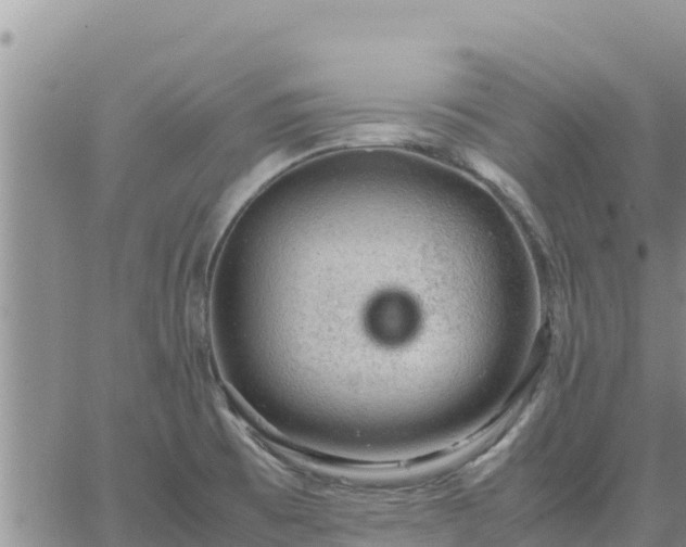 X0000064751473200602171720