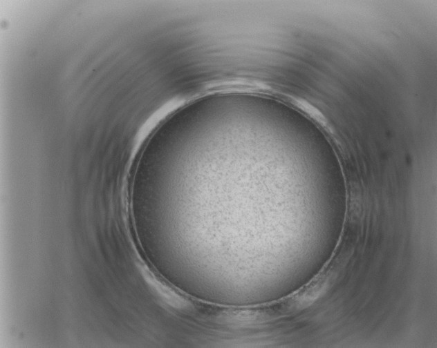 X0000064751474200602171720