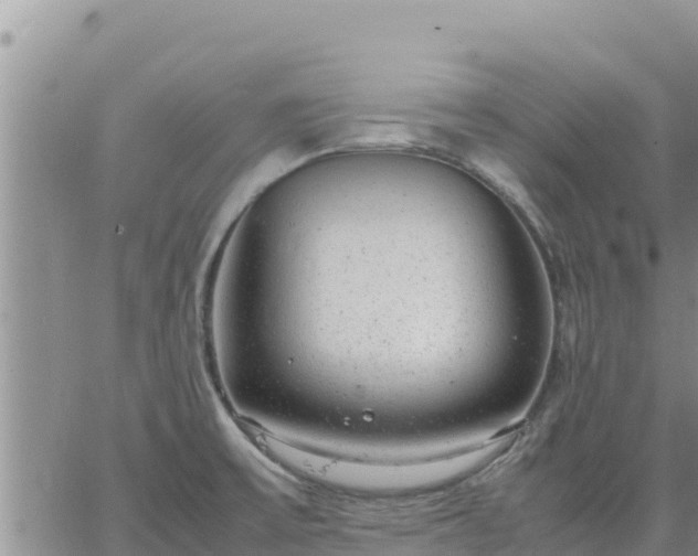 X0000064751475200602171720