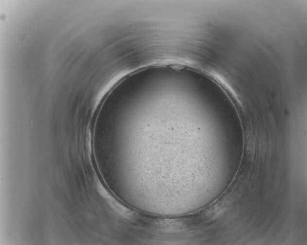 X0000064751476200602171720