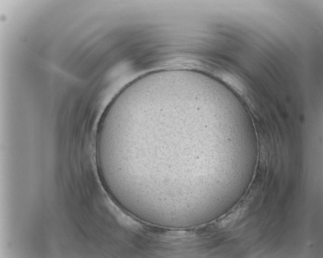 X0000064751478200602171720