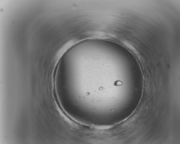 X0000064751479200602171720