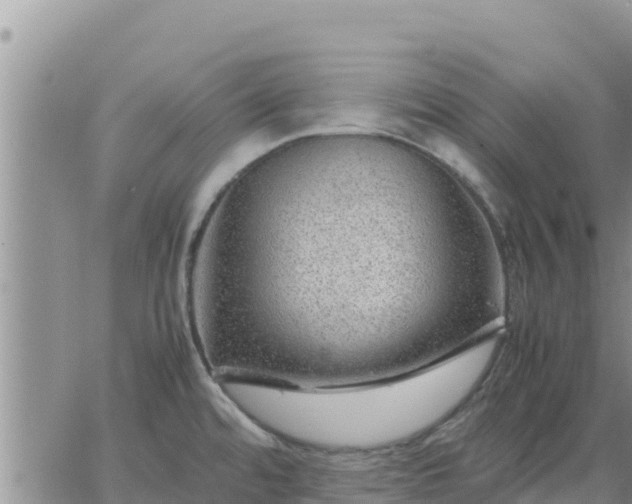 X0000064751480200602171720