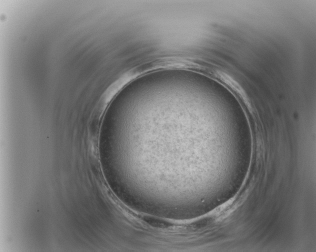 X0000064751481200602171720