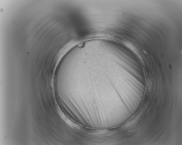 X0000064751482200602171720