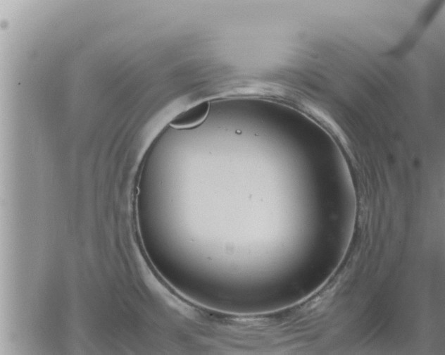 X0000064751483200602171720