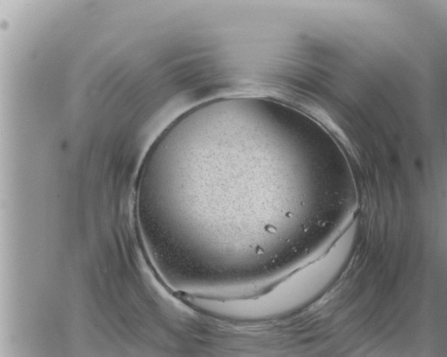 X0000064751484200602171720