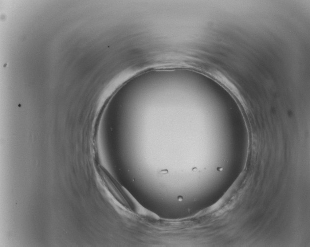 X0000064751485200602171720