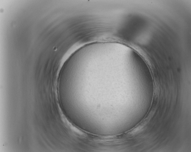 X0000064751486200602171720