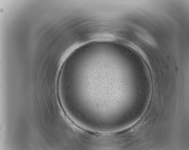 X0000064751488200602171720