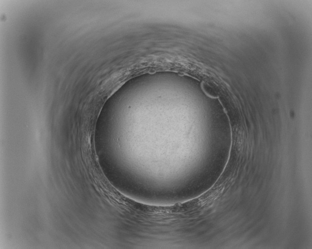 X0000064751489200602171719