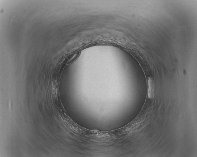 X0000064751491200602171719