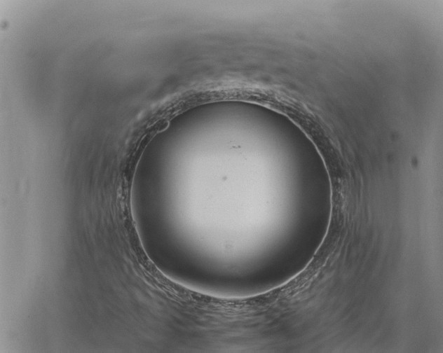 X0000064751493200602171719