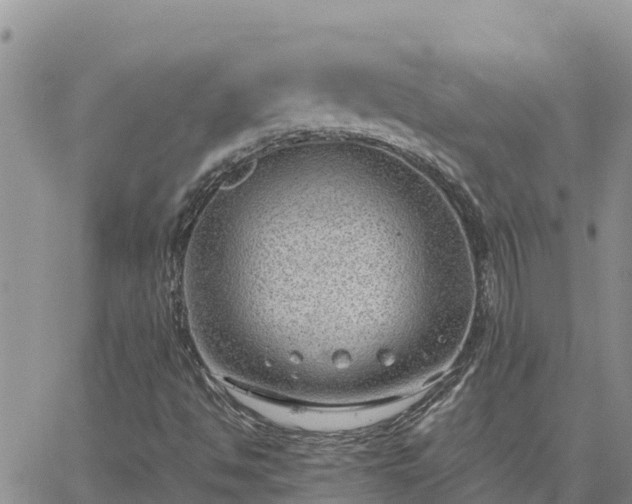 X0000064751494200602171719