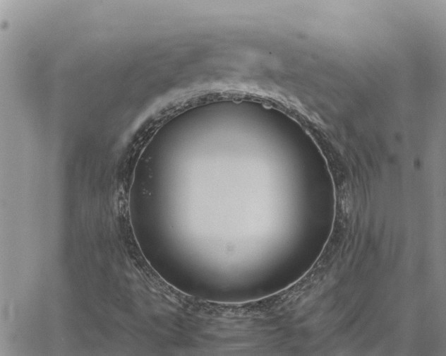 X0000064751495200602171719