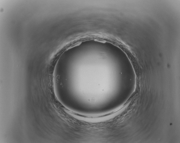 X0000064751496200602171719